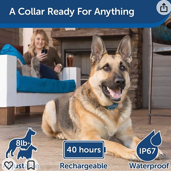 Pet Safe Smart Dog Trainer - Picture 5 of 7